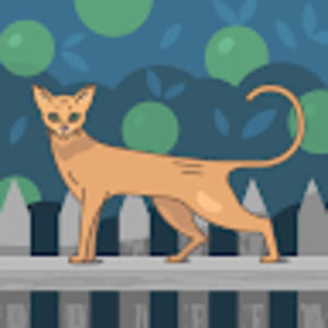 Meet your Posher, Stacey